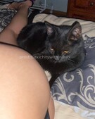 Анкета проститутки Леля - метро Дорогомилово, возраст - 22